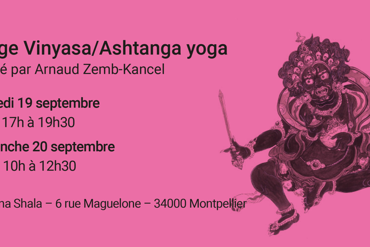 Stage Vinyasa/Ashtanga yoga animé par Arnaud Zemb-Kancel