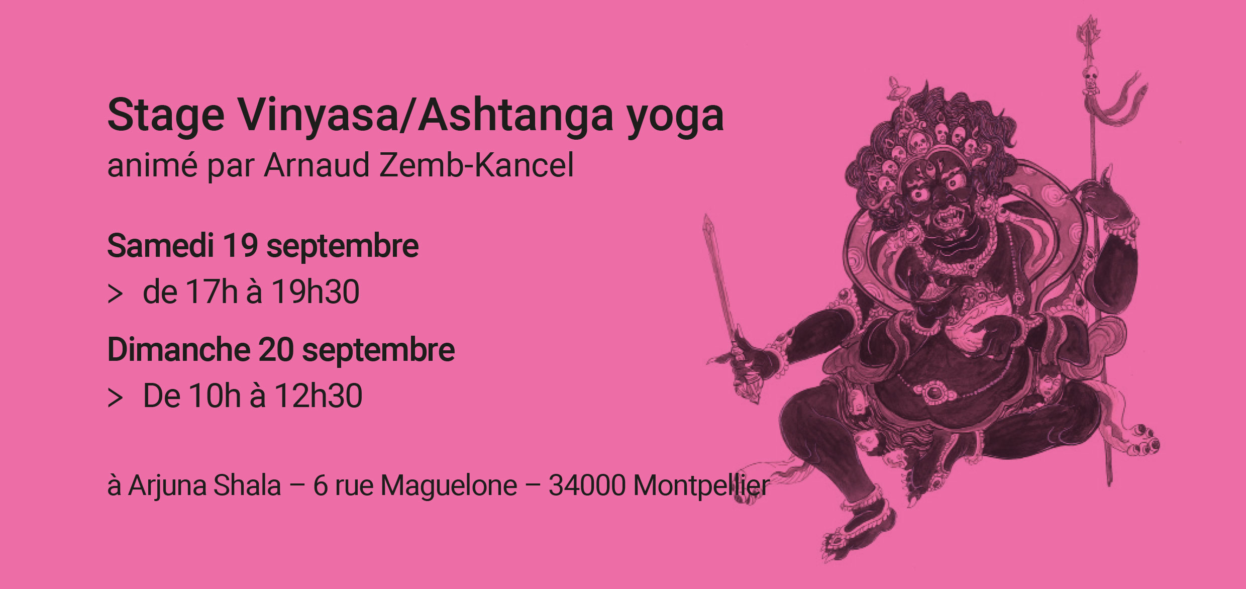 Stage Vinyasa/Ashtanga yoga animé par Arnaud Zemb-Kancel